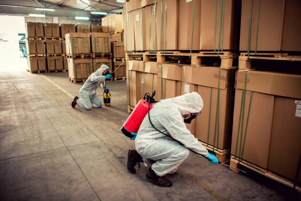 Best Affordable Pest Control Services  in Clinton, TN