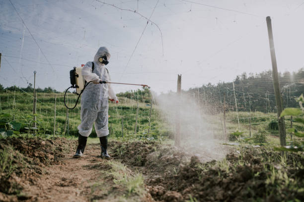 Best Ant Control Services  in Clinton, TN