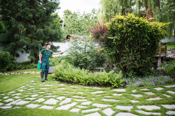 Best Local Pest Control Services  in Clinton, TN