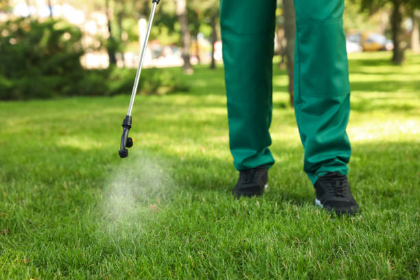 Best Best Pest Control Companies  in Clinton, TN