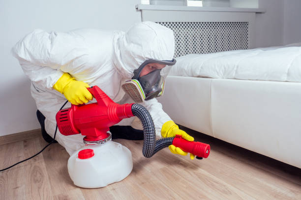 Best Best Pest Control Companies  in Clinton, TN