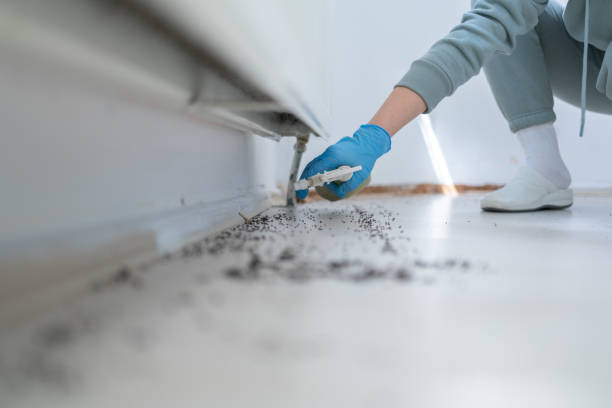 Best Pest Removal Services  in Clinton, TN