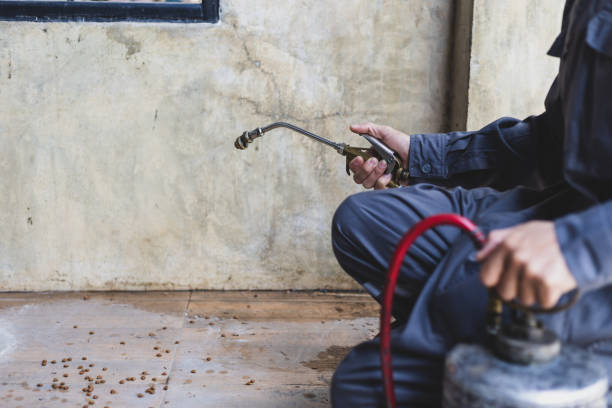 Best Affordable Pest Control Services  in Clinton, TN