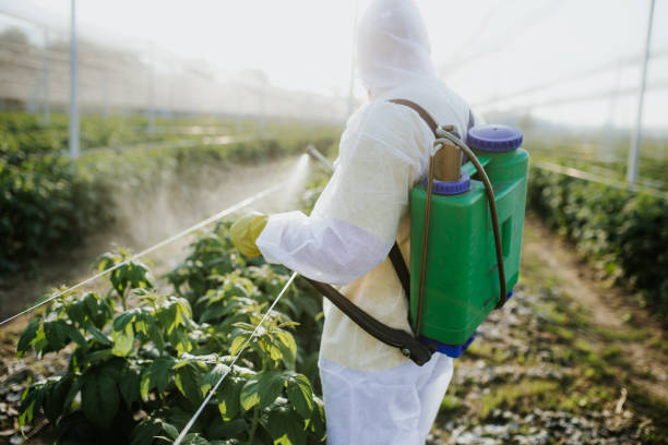 Best Best Pest Control Companies  in Clinton, TN